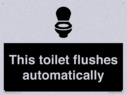 this-toilet-flushes-automatically~